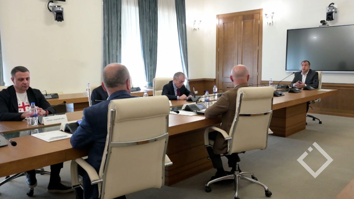 საგამოძიებო კომისიის სხდომა - დიმიტრი სანაკოევის მოსმენა