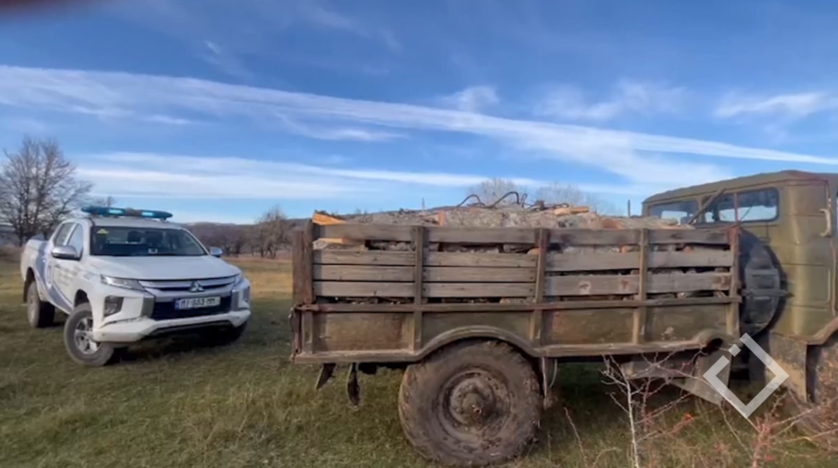 უკანონო ტყითსარგებლობის ფაქტები