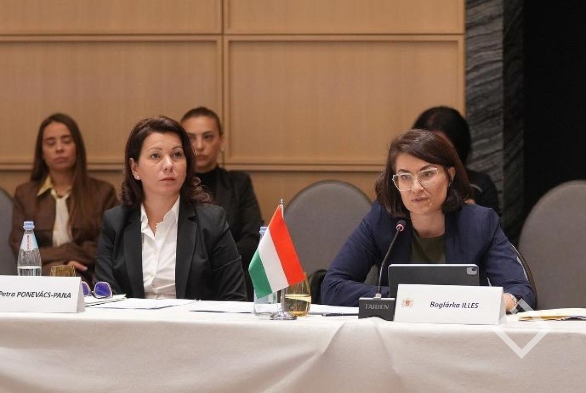 მწვანე ენერგეტიკული დერეფნის პროექტი აბსოლუტურად უნიკალური ინიციატივაა - უნგრეთის საგარეო საქმეთა და ვაჭრობის სამინისტროს სახელმწიფო მდივანი