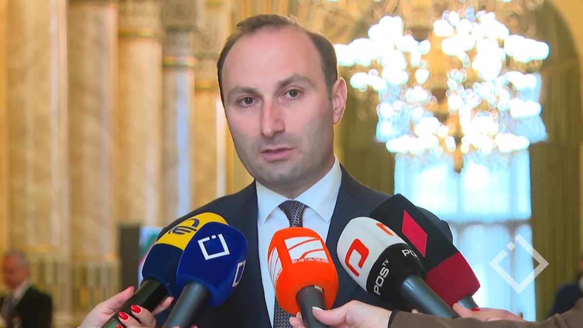 გიორგი ბაჩიაშვილის პატიმრობის საქმე - შეფასება