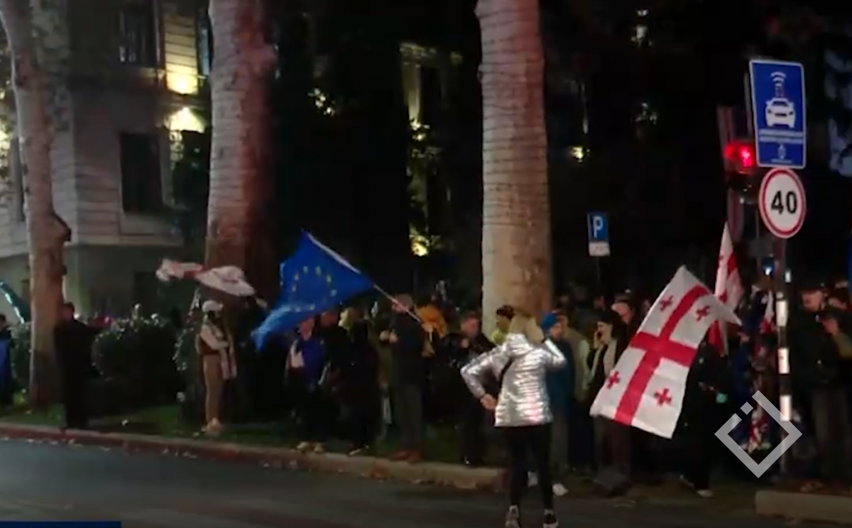 უწყვეტი პროტესტის ერთი წელი