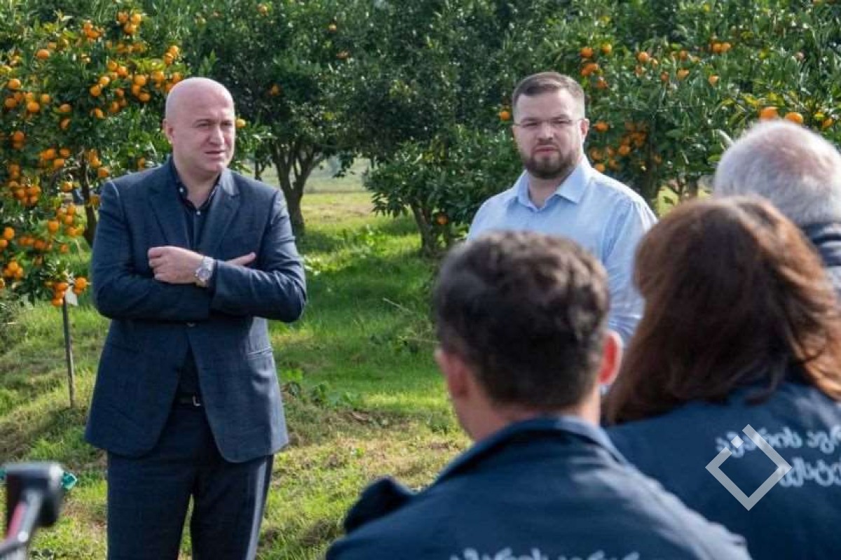 სულხან თამაზაშვილი მეციტრუსე ფერმერებს შეხვდა