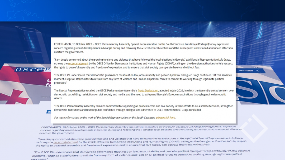 ეუთოს საპარლამენტო ასამბლეის წარმომადგენელი საქართველოზე