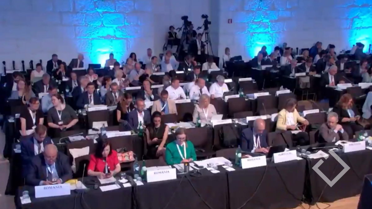 ეუთოს საპარლამენტო ასამბლეის რეზოლუცია - შეფასებები