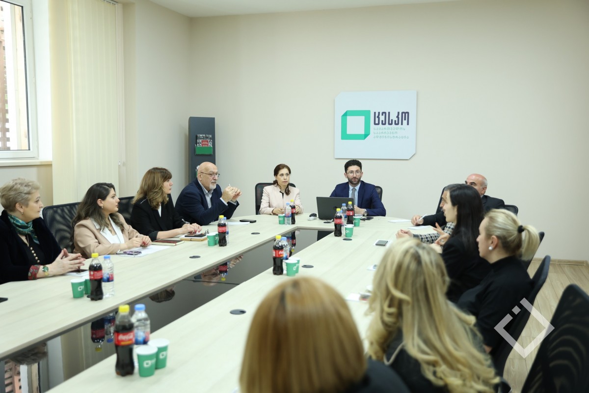 ცენტრალურ საარჩევნო კომისიაში შეზღუდული შესაძლებლობის მქონე პირთა საკითხებზე მომუშავე მუდმივმოქმედი სამუშაო ჯგუფის შეხვედრა გაიმართა