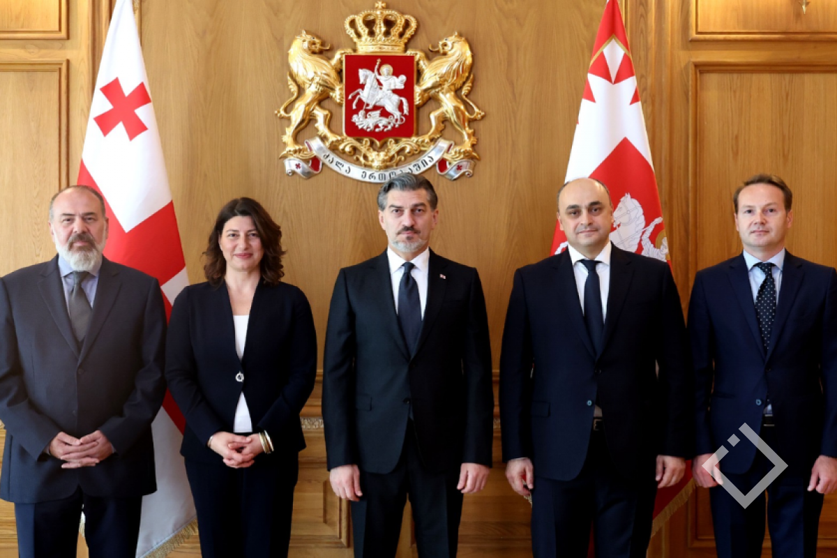 საქართველოს პრეზიდენტი სლოვაკეთში, ეთიოპიაში, ირლანდიასა და წმინდა საყდართან საქართველოს ახლად დანიშნულ ელჩებს შეხვდა