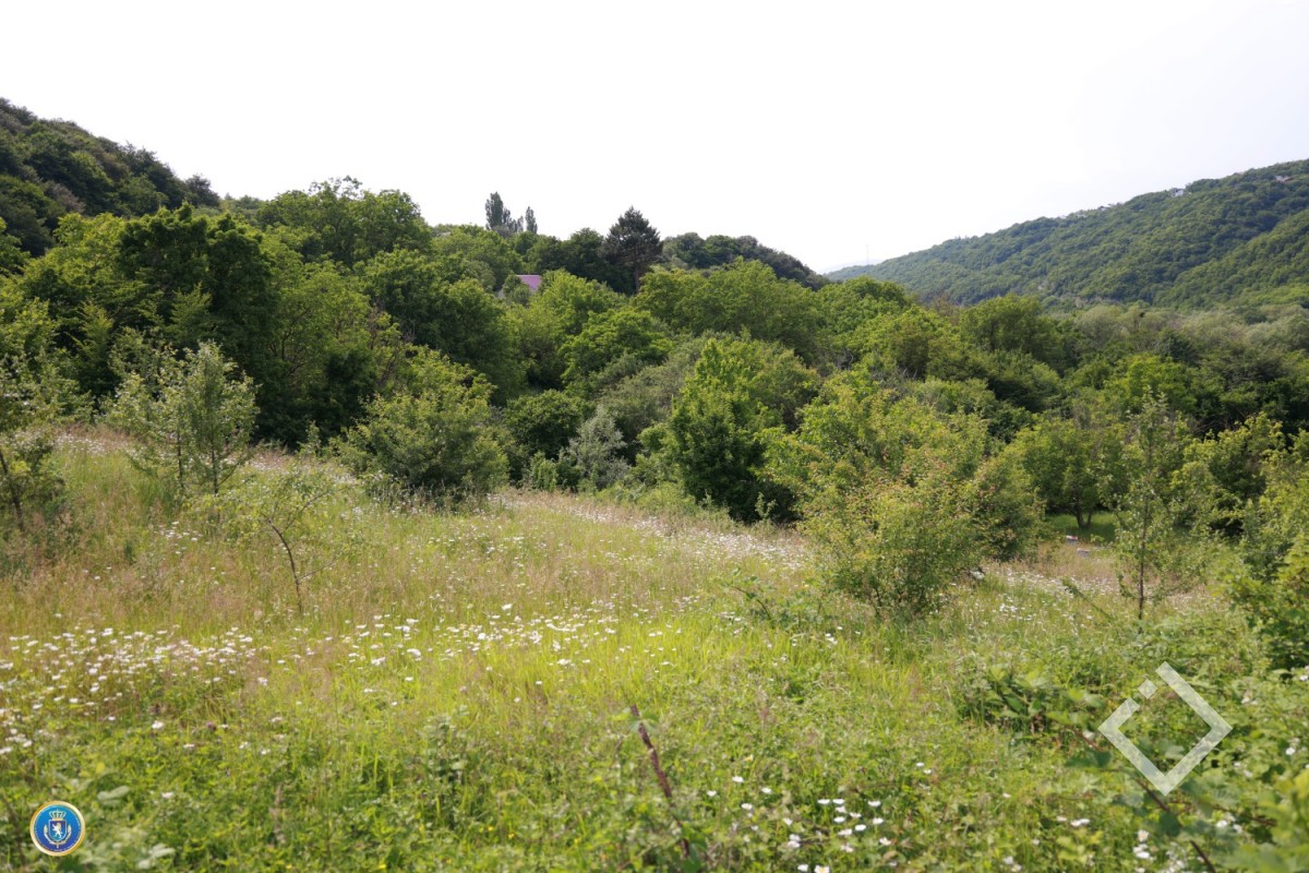 საგამოძიებო სამსახურმა დიდი ოდენობით სახელმწიფო ქონების მოტყუებით დაუფლების ფაქტები გამოავლინა