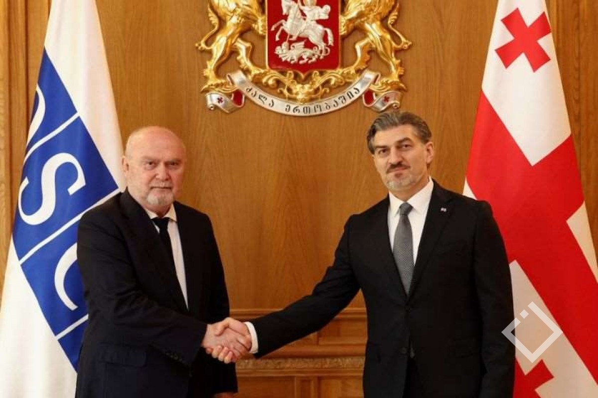 მიხეილ ყაველაშვილმა ეუთოს გენერალურ მდივანს პრეზიდენტის სასახლეში უმასპინძლა