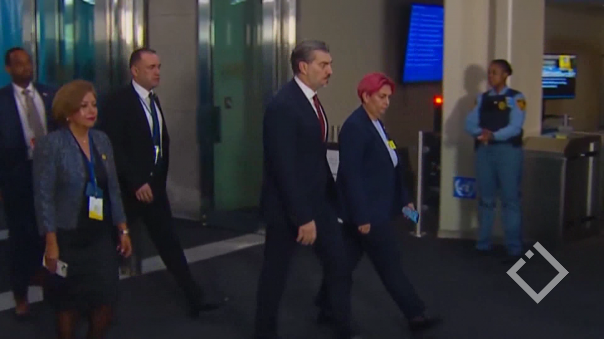 ქართული დელეგაციის ვიზიტი გაეროში