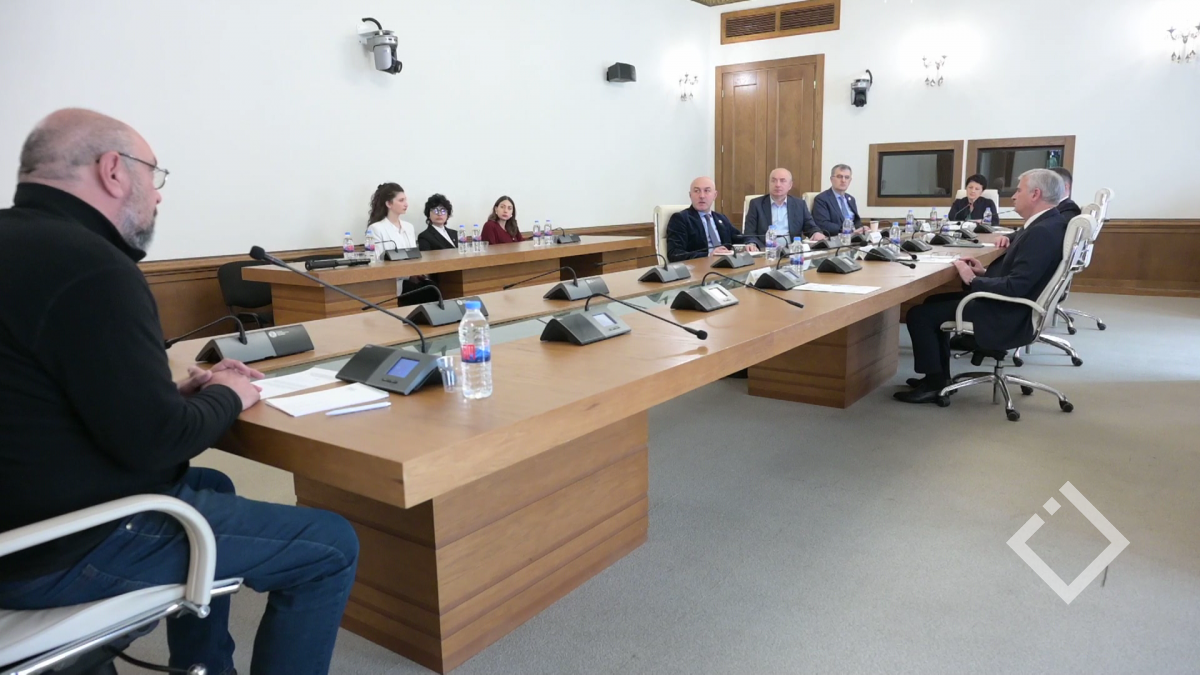 საგამოძიებო კომისიის სხდომა - ე.წ. ფოტოგრაფების საქმე