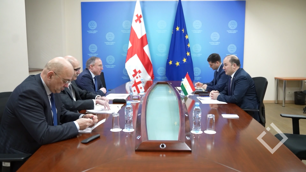 ელჩებმა საგარეო საქმეთა მინისტრის მოადგილეებს რწმუნებათა სიგელები გადასცეს