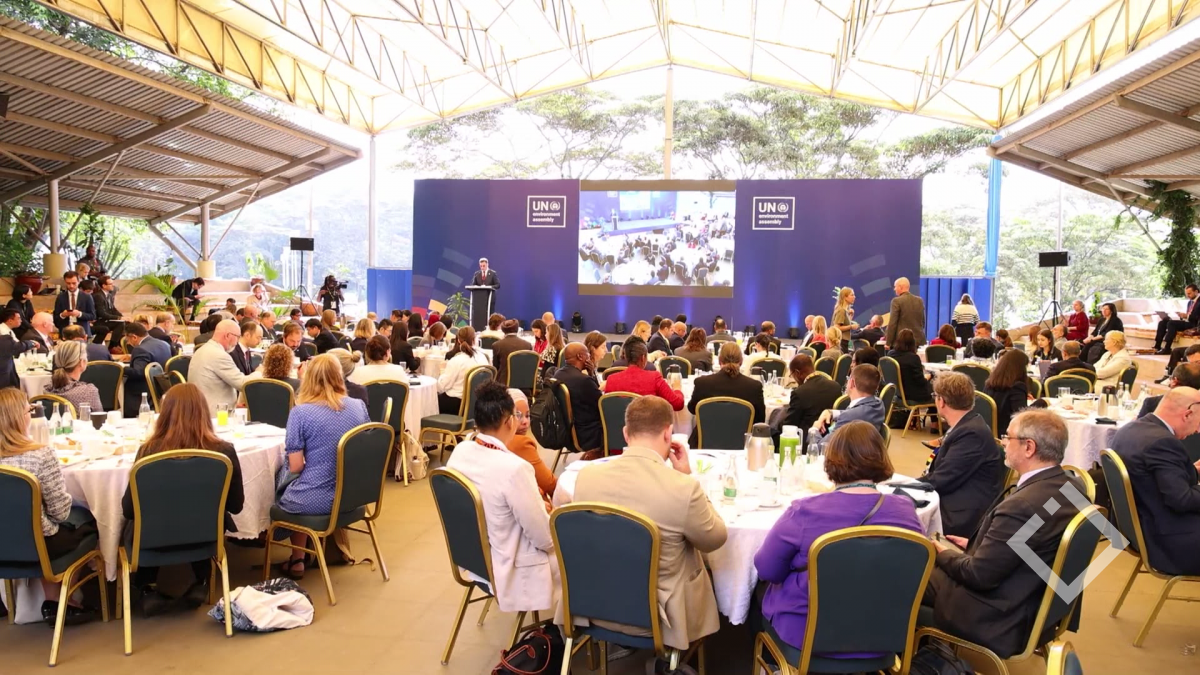 გაეროს გარემოსდაცვითი ასამბლეა