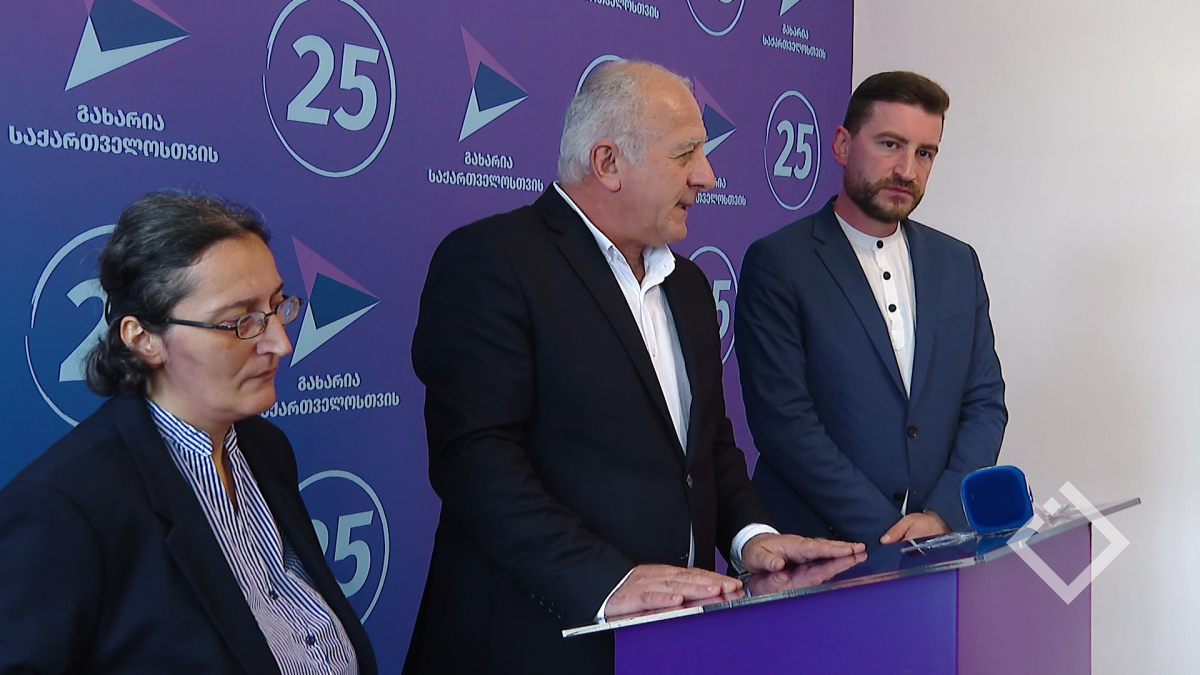 გახარია საქართველოსთვის უმაღლეს საბჭოში შედის