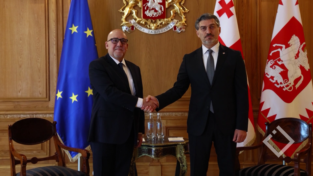 საქართველოს პრეზიდენტის და თურქეთის ელჩის შეხვედრა