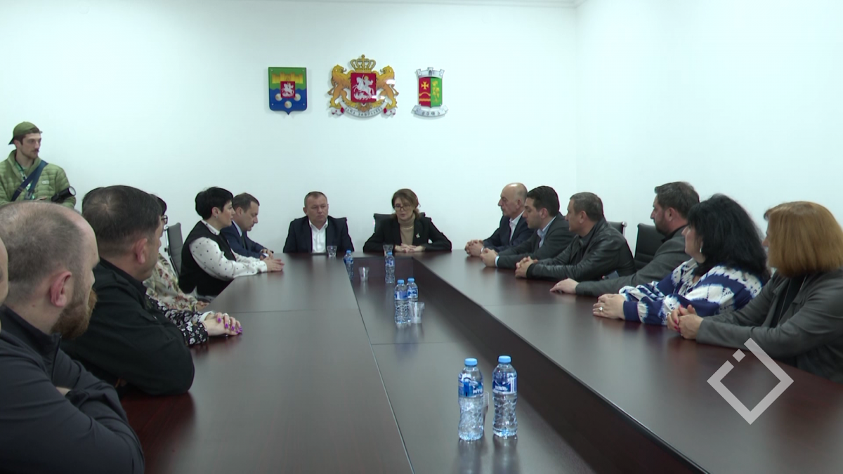 ელისო ბოლქვაძე ქედაში კულტურის სფეროს წარმომადგენლებს შეხვდა
