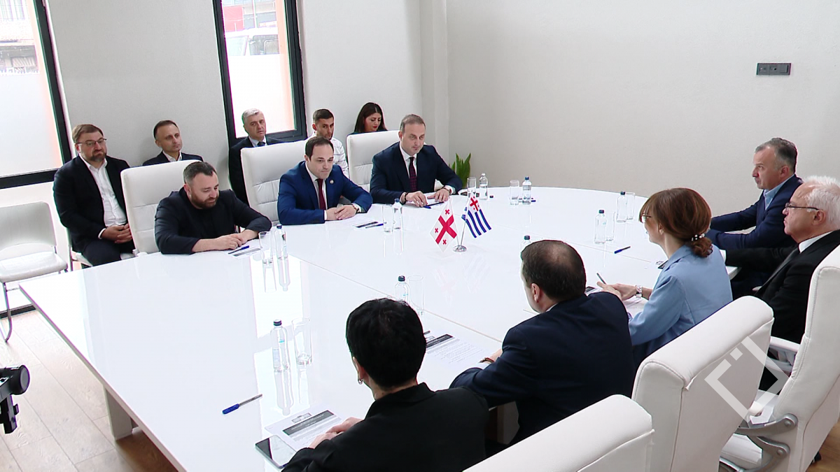 პარლამენტის კულტურის კომიტეტის წარმომადგენლების ვიზიტი აჭარაში