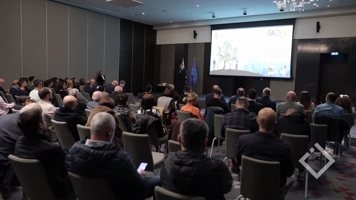 ნიადაგის მსოფლიო დღე