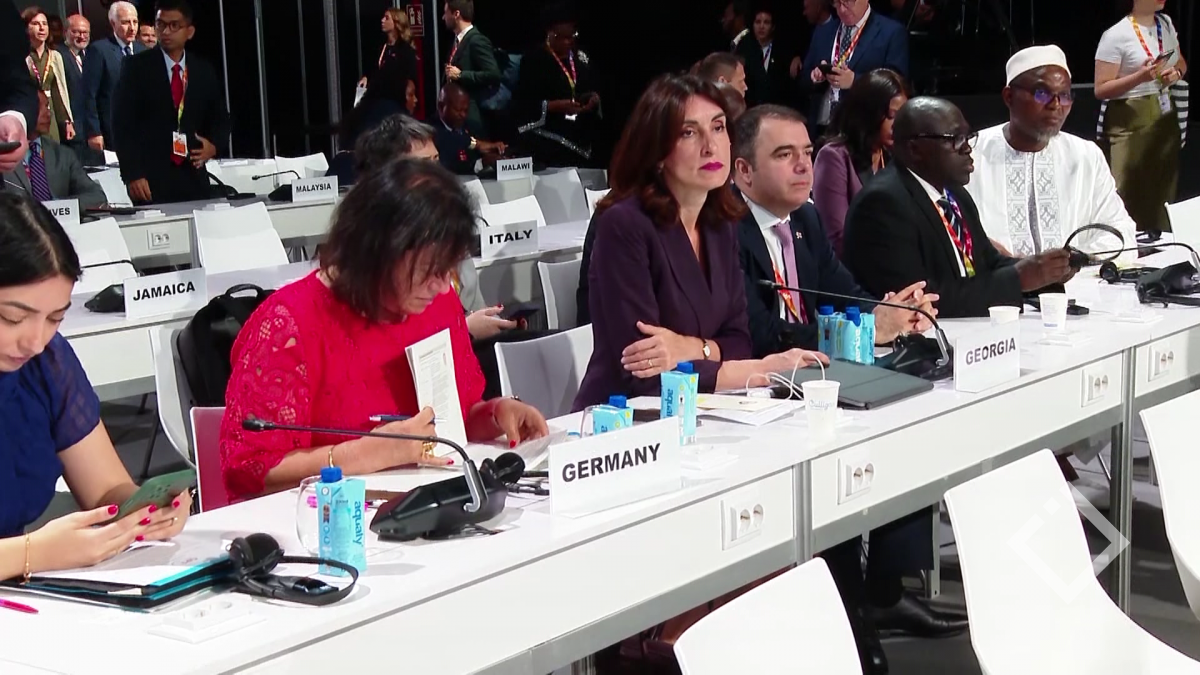 მაკა ბოჭორიშვილის სიტყვით გამოსვლა გაეროს კონფერენციაზე