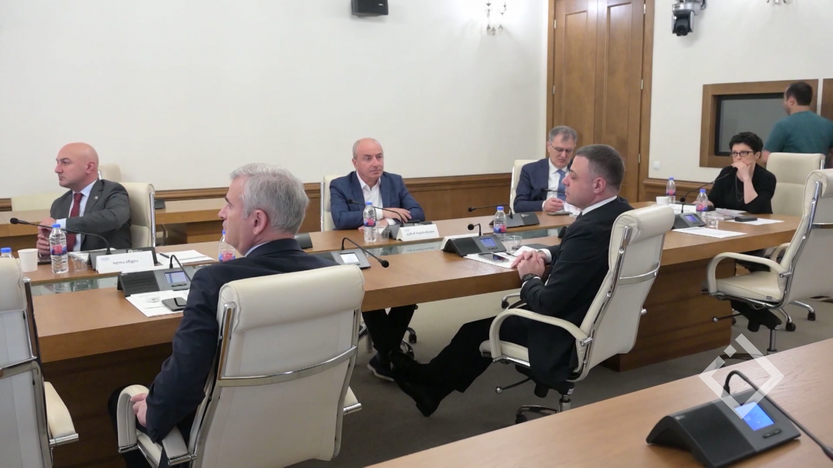 ოპოზიციური პარტიების აკრძალვის საკითხი-შეფასებები