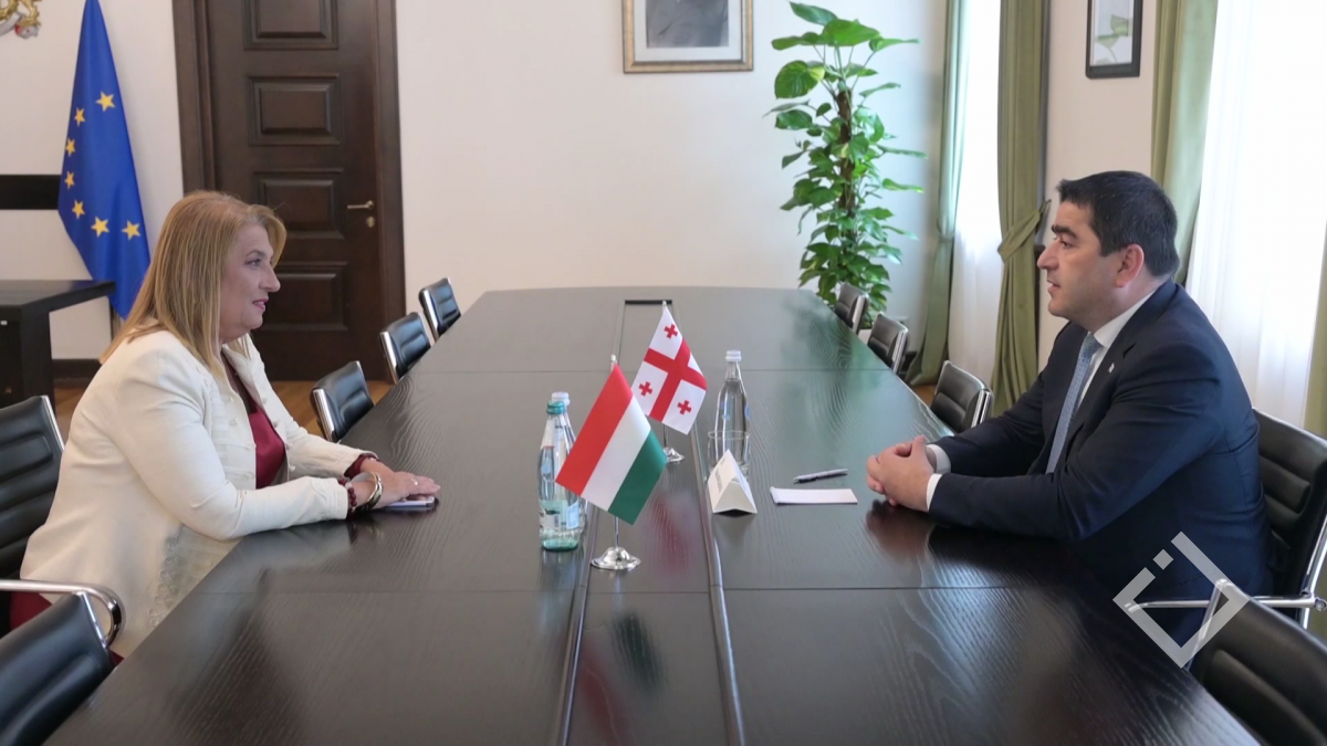 პარლამენტის თავმჯდომარე უნგრეთის ელჩს დაემშვიდობა