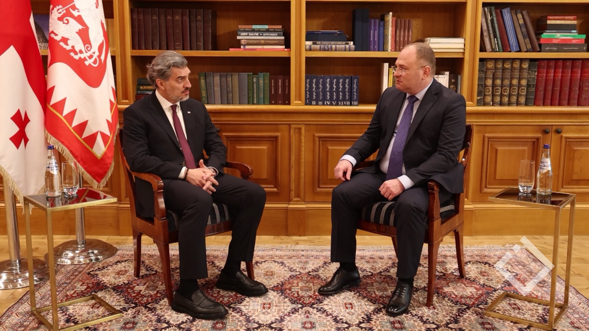 შეხვედრა ახლადდანიშნულ ელჩებთან