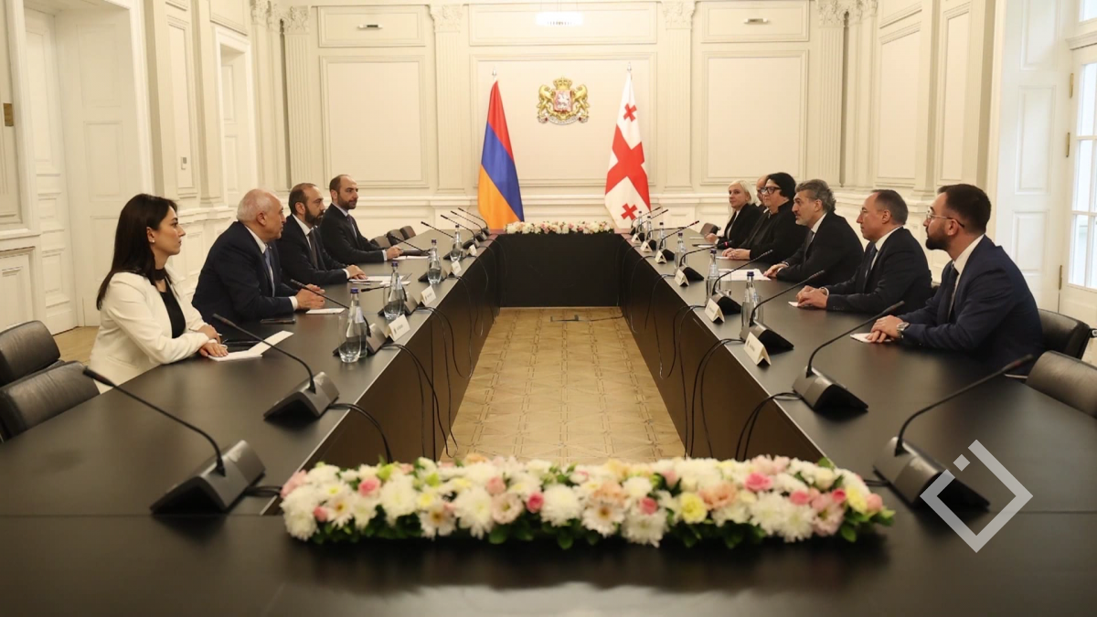 პრეზიდენტი სომხეთის საგარეო საქმეთა მინისტრს შეხვდა