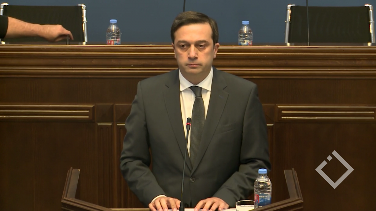 სახალხო დამცველის ანგარიში ადამიანის უფლებათა დაცვის კომიტეტის სხდომაზე