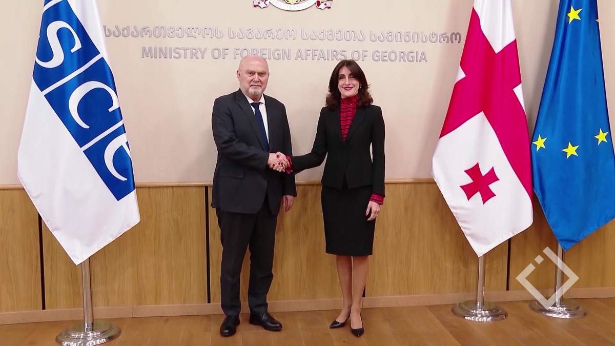 ეუთო-ს გენერალური მდივნის ვიზიტი - შეფასებები
