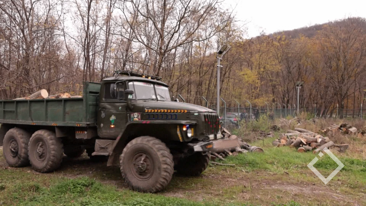 ხე-ტყის უკანონო მოპოვებისა და ტრანსპორტირების შემთხვევა