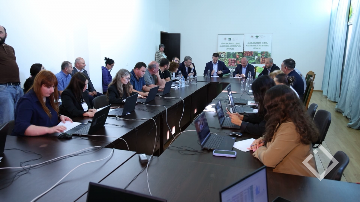 ვაშლის საკოორდინაციო შტაბი