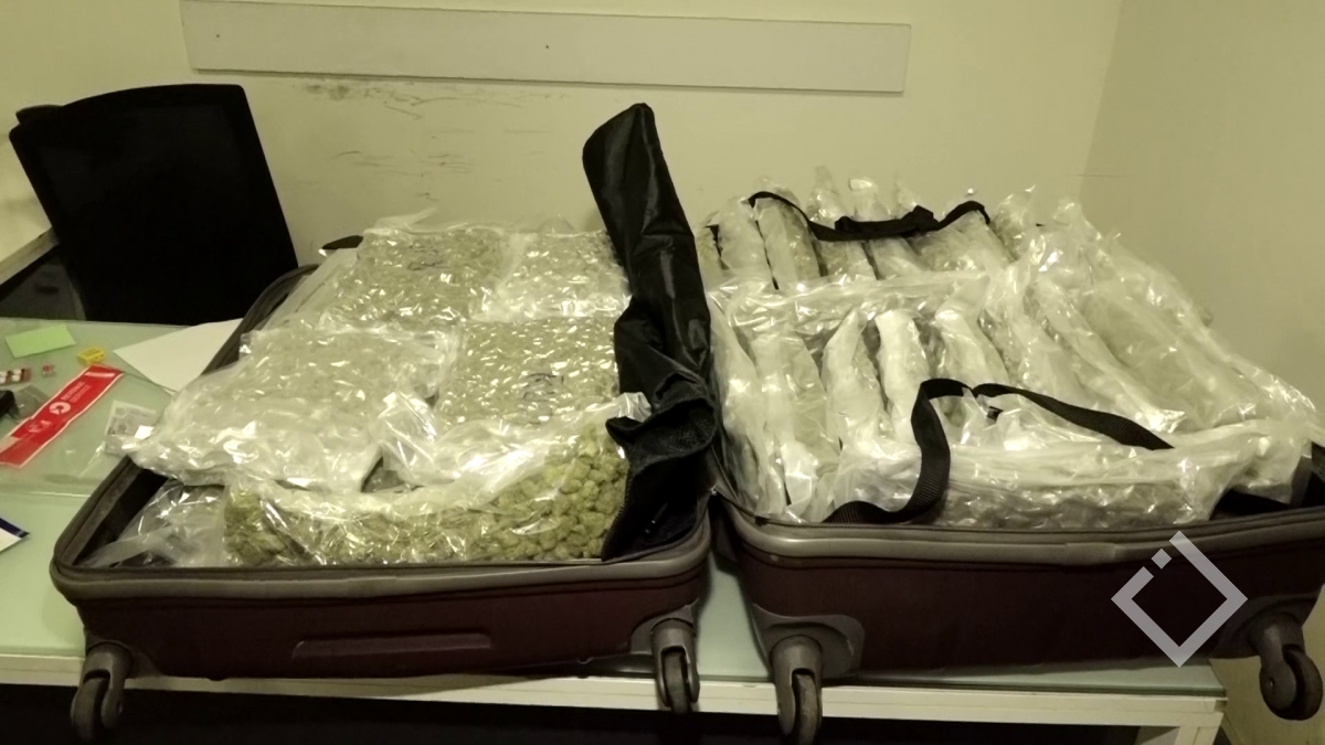 სამართალდამცველებმა თბილისის აეროპორტში 20 კილოგრამამდე „მარიხუანა“ ამოიღეს, დაკავებულია უცხო ქვეყნის მოქალაქე
